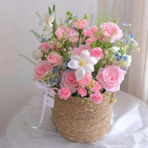 Sớm Mai Dịu Dàng